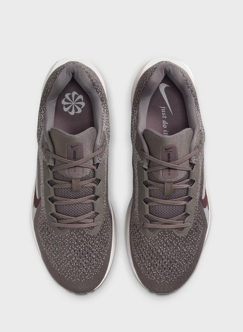 Nike Air Winflo 11