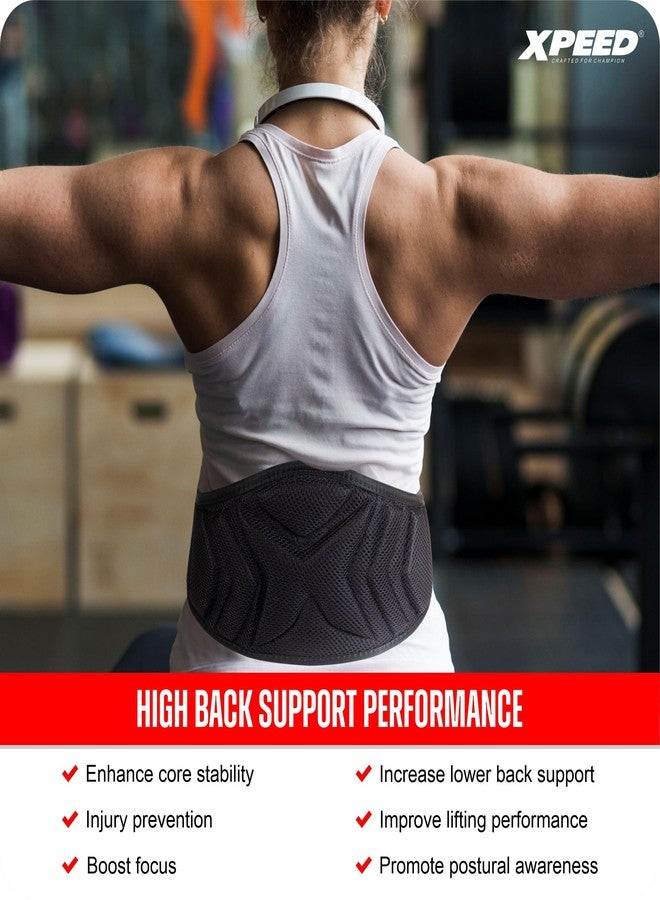 Xpeed Premium Nylon Weightlifting Belt || Lumbar Waist Support Trainer || Weight Lifting belt For Workout || Fitness || Sport|| Gym for Men and Women (Pack of 1) (Black) (M) - Image 5