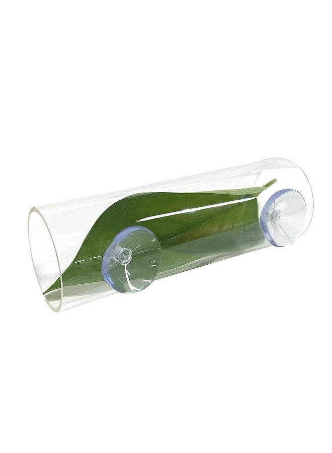 Rainmae Rainmae Betta Fish Toys, Betta Fish Acrylic Tube Tunnel, Hole Hollow Betta Fish cave, Safer for Small Fish Shrimp Betta Guppies, Aquarium Decor Fish Tank Accessories Decorations Hideout Tube  - Image 1