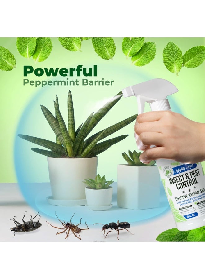Mighty Mint 16 oz Peppermint Oil Insect & Pest Spray - for Spiders, Ants, and More - Image 2