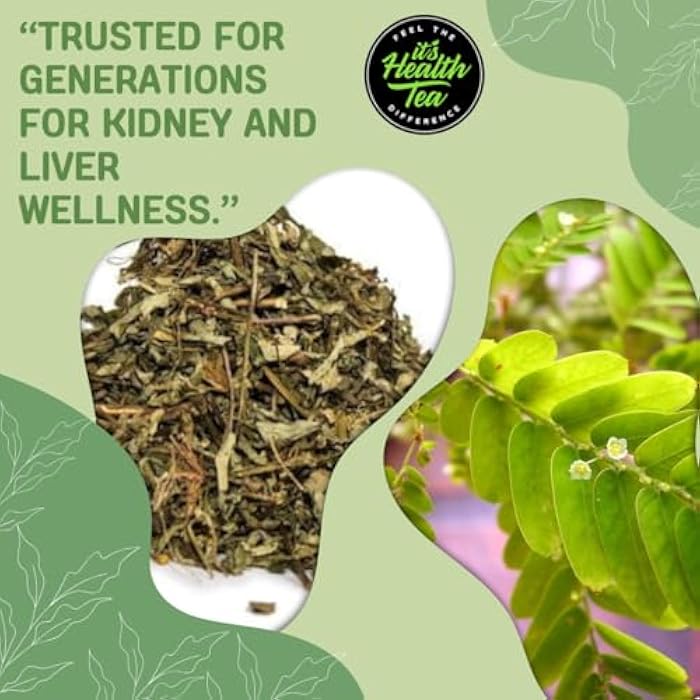 ItsHealthTea شاي شنك بييدرا - أوراقLoose مع 35 كيس شاي - تنظيف طبيعي للكلى - محطم حصى الكلى وديتوكس المرارة من بيرو (Phyllanthus niruri) - Image 2