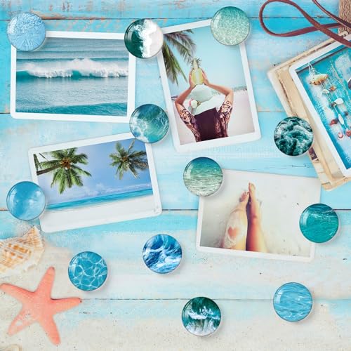 MORCART 16PCS Fridge Magnets, Ocean Magnets Decoration for Refrigerator Locker Whiteboard Decorative Magnetic Board Cabinets Classroom Office Cubicle School Cute - Image 4