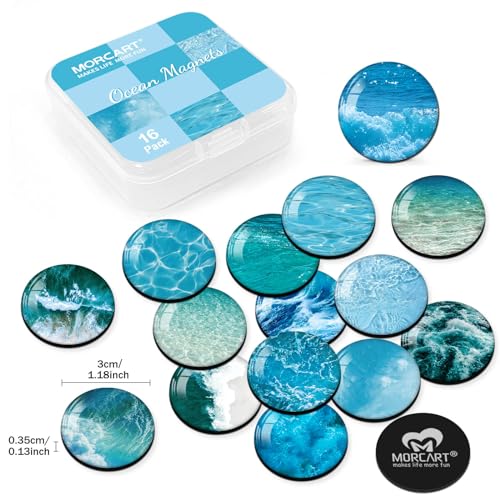 MORCART 16PCS Fridge Magnets, Ocean Magnets Decoration for Refrigerator Locker Whiteboard Decorative Magnetic Board Cabinets Classroom Office Cubicle School Cute - Image 2
