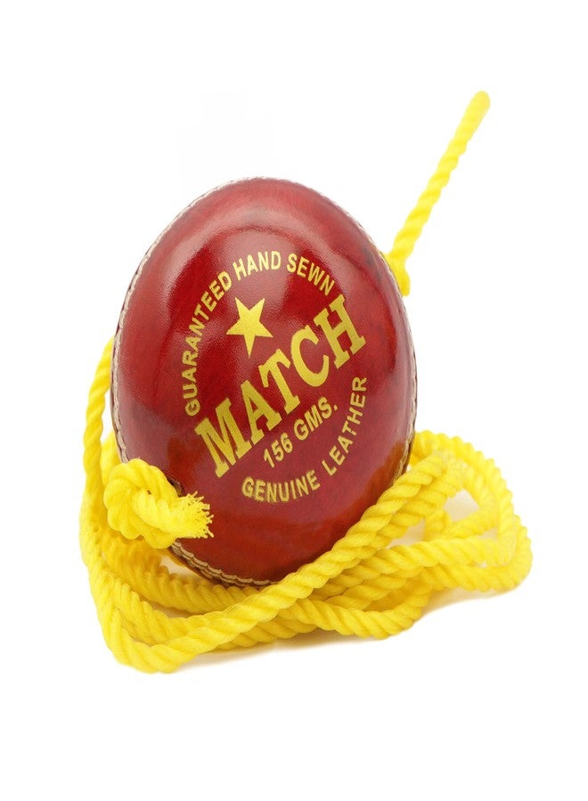 PSE Priya Sports Leather Match Practice Hanging Cricket Ball Red,Standard - Image 4