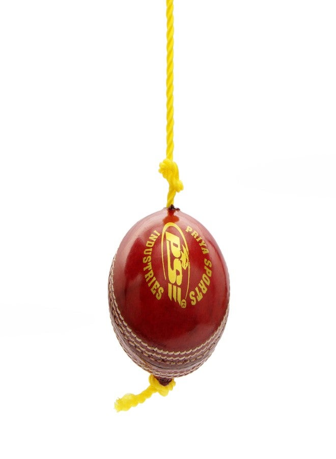 PSE Priya Sports Leather Match Practice Hanging Cricket Ball Red,Standard - Image 2