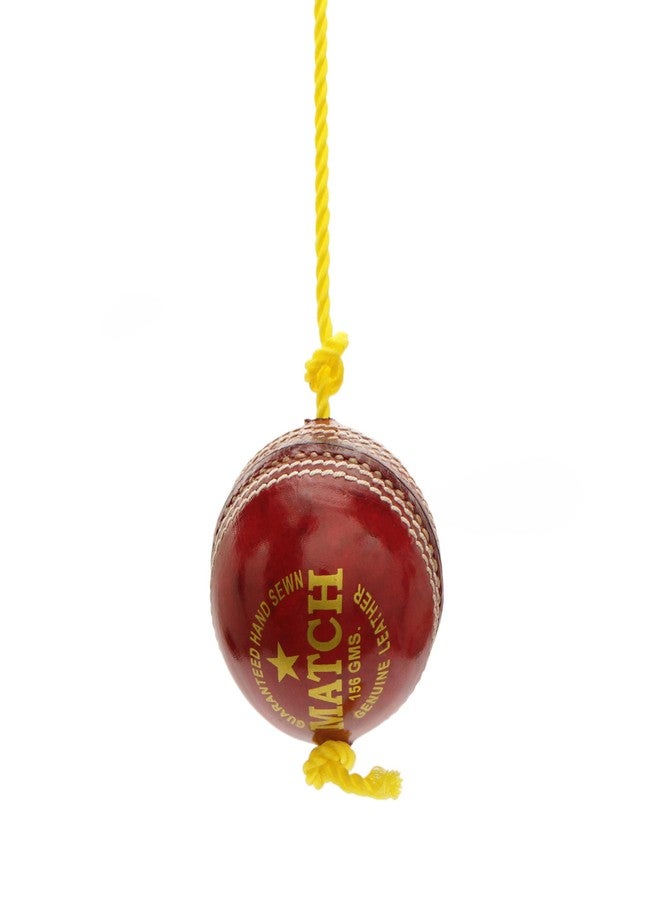 PSE Priya Sports Leather Match Practice Hanging Cricket Ball Red,Standard - Image 5