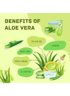 Havintha Natural Aloe Vera Powder For Hair Growth, Face Wash - 227 Grams  - Image 4