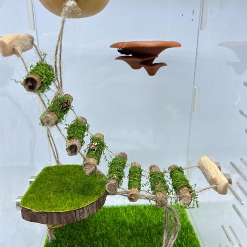 Daerky Jumping Spider Rope BridgeA Solid Wood Climbing Suspension Bridge a Jumping Spider Enclosure Accessory Handmade a Spider Jump Platform Used As a Decorative Accessory for Small Reptile Enclosures - Image 3