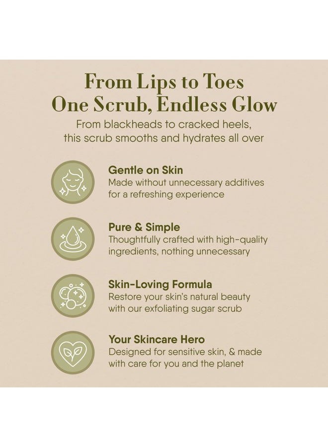 360Feel Sugar Body Scrub - Tangerine Grapefruit - Great as a Face Scrub & Exfoliating Body Scrub for Acne Scars, Stretch Marks, Foot Scrub, Great Gifts For Women - 8 Fl Oz, Cream - Image 5