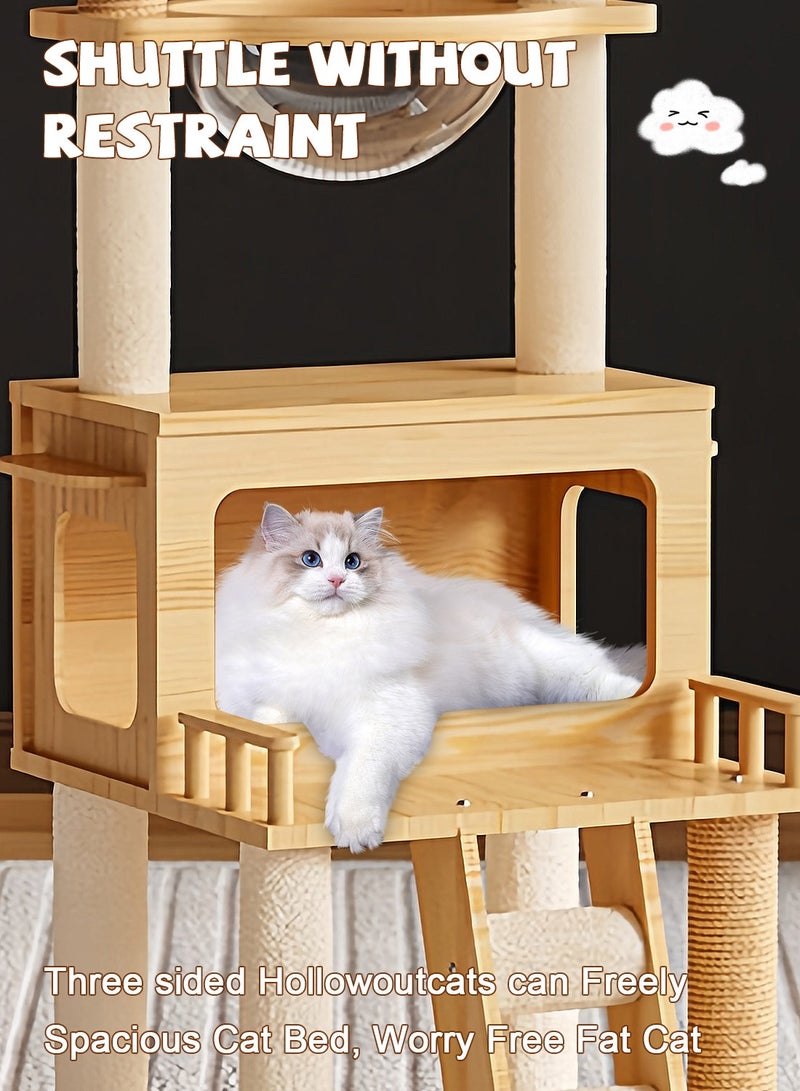 كيدل إطار تسلق القطط، برج قطط متعدد المستويات، عش قطط، لوح خدش قطط، كبسولة فضاء، شجرة قطط، مستلزمات القطط، ألعاب القطط الأليفة، مستلزمات الحيوانات الأليفة - Image 3