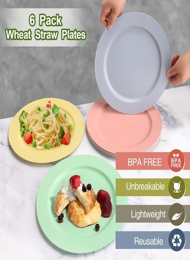 shopwithgreen 10 Inch Wheat Straw Dinner Plates, 6 Pack Unbreakable Sturdy Plastic Reusable Plates, Microwave and Dishwasher Safe Plates Set, Non-Toxic, BPA Free - Image 5