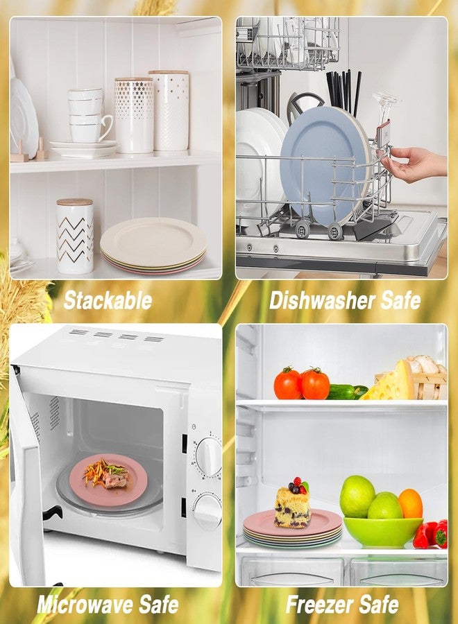 shopwithgreen 10 Inch Wheat Straw Dinner Plates, 6 Pack Unbreakable Sturdy Plastic Reusable Plates, Microwave and Dishwasher Safe Plates Set, Non-Toxic, BPA Free - Image 3