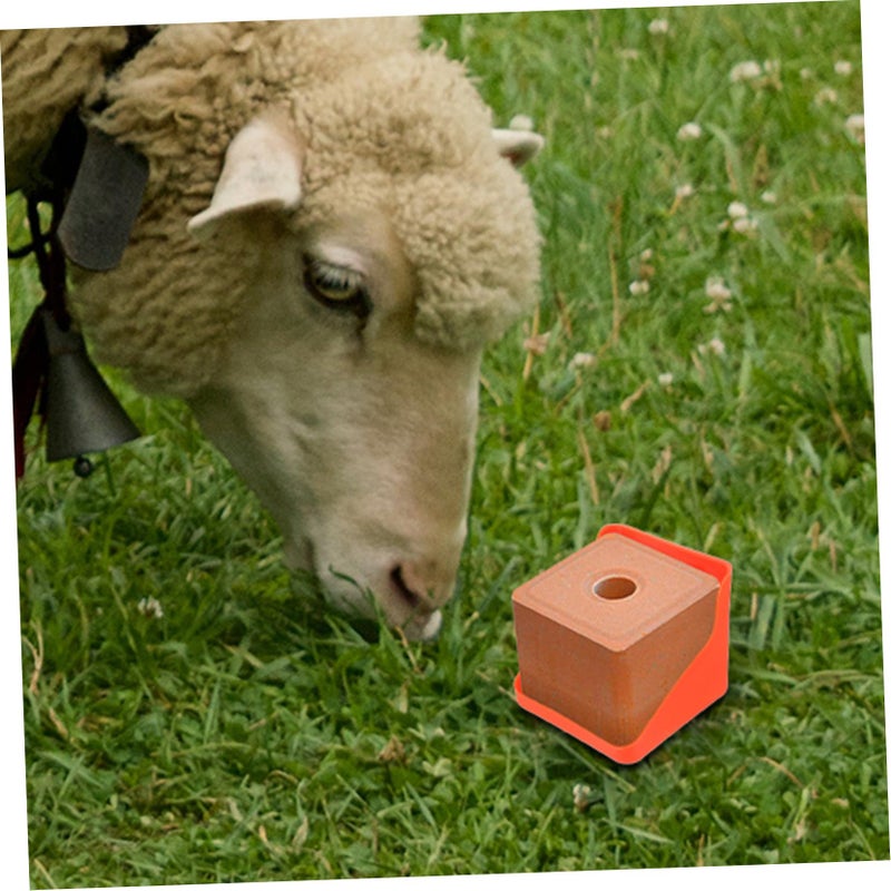 Pe Material Salt Block Holder And Feeding Tray For Sheep Livestock - Image 5