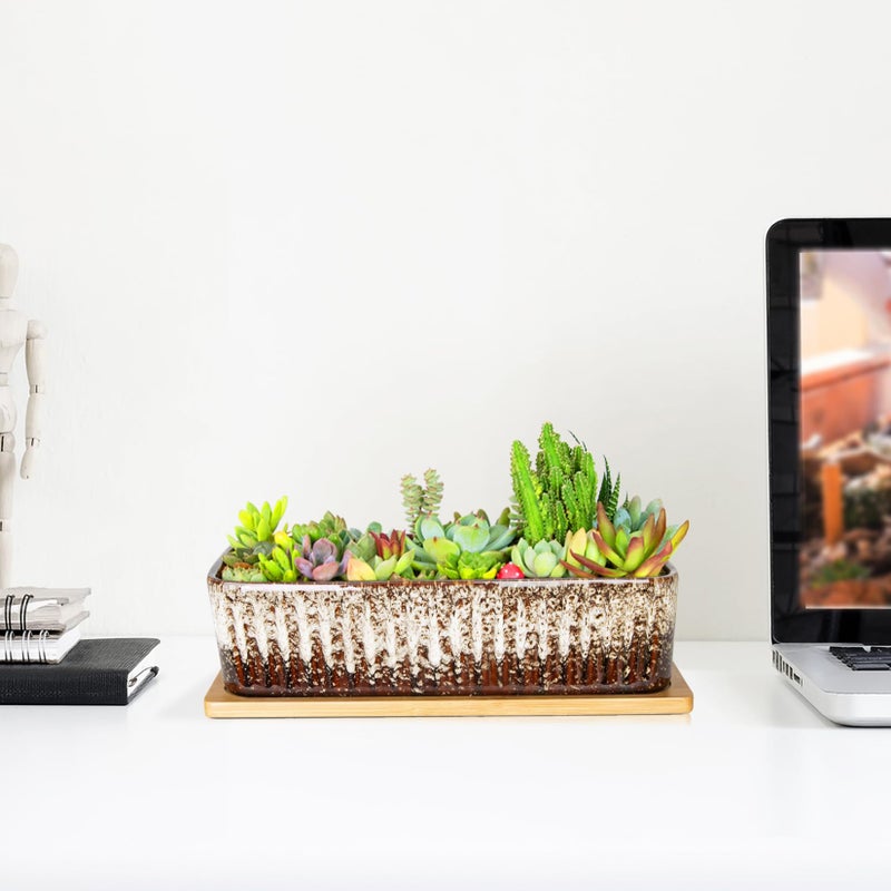 ARTKETTY Succulent Pots - 12 Inch Large Succulent Planters with Drainage Tray, Window Sill Planter, Long Rectangle Ceramic Pots for Indoor Cactus Plants Shallow Bonsai Window Box for Home Garden Decor - Image 5