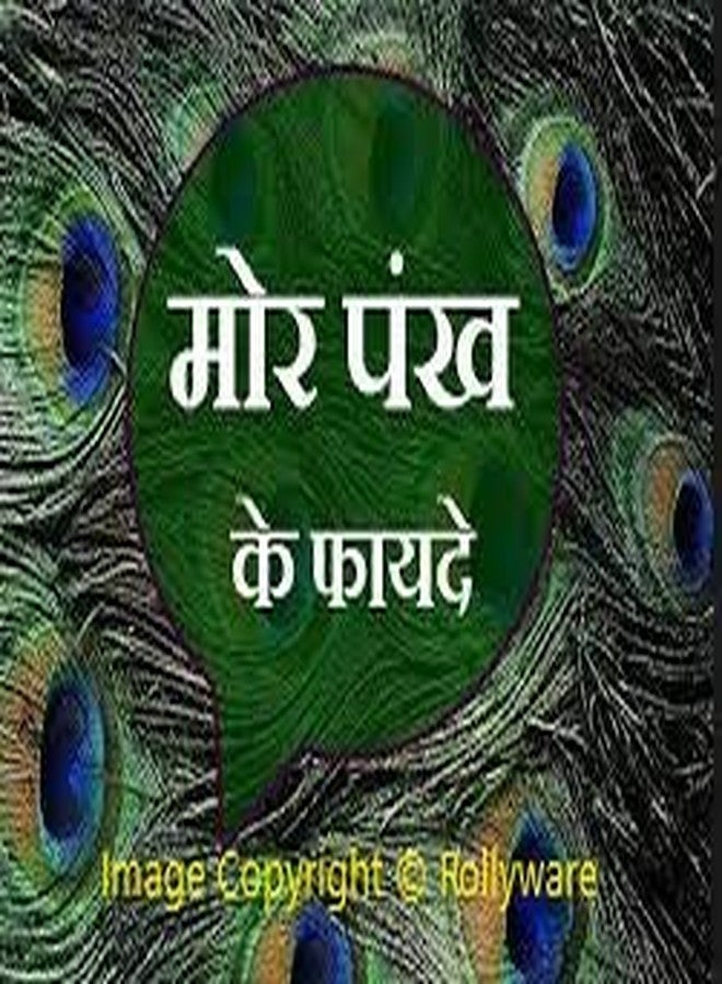 Rollyware Natural Peacock Feather More Pankh Fan Tails Original Full Length Laddu Gopal Handmade Morpankh Peacock Feather Dress, Pack of 2 - Image 5