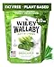 Wiley Wallaby Licorice 10 Ounce Classic Gourmet Soft  Chewy Australian Green Apple Licorice Candy Twists 1 Pack - Image 2