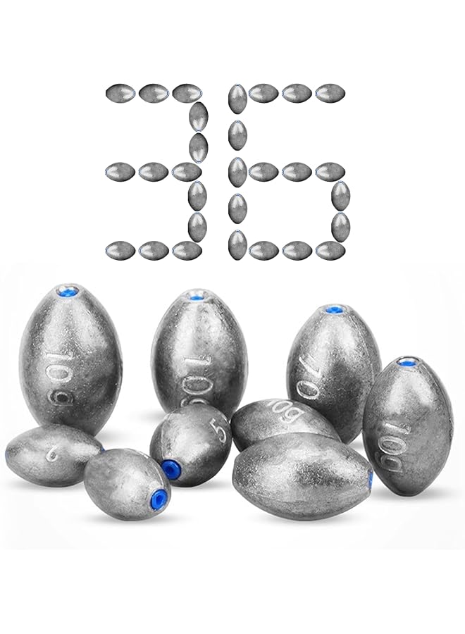 PROMASS Fishing Egg Sinker Weight, 36Pcs Oval Insert Bass Fishing Lead Casting Pendant For Saltwater And Freshwater