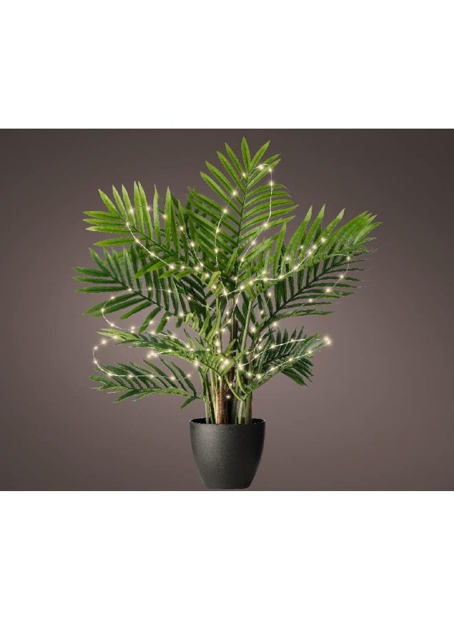 Kaemingk أضواء نباتات كامينغك الخارجية بتقنية LED الصغيرة - أبيض دافئ ثابت - Image 3