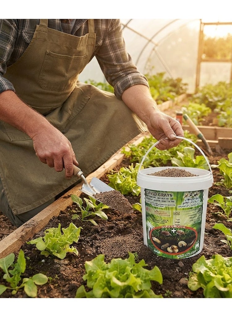 David Systemic Granular Garden Insecticide (1kg) - Image 3
