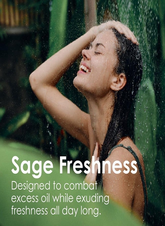 Sh Rd SH-RD Scalp Purifying Essentials for Travel & Trial | Sage Shampoo and Conditioner, Protein Cream | Hotel Size Set for Oily Hair Anti-Dandruff - Image 2