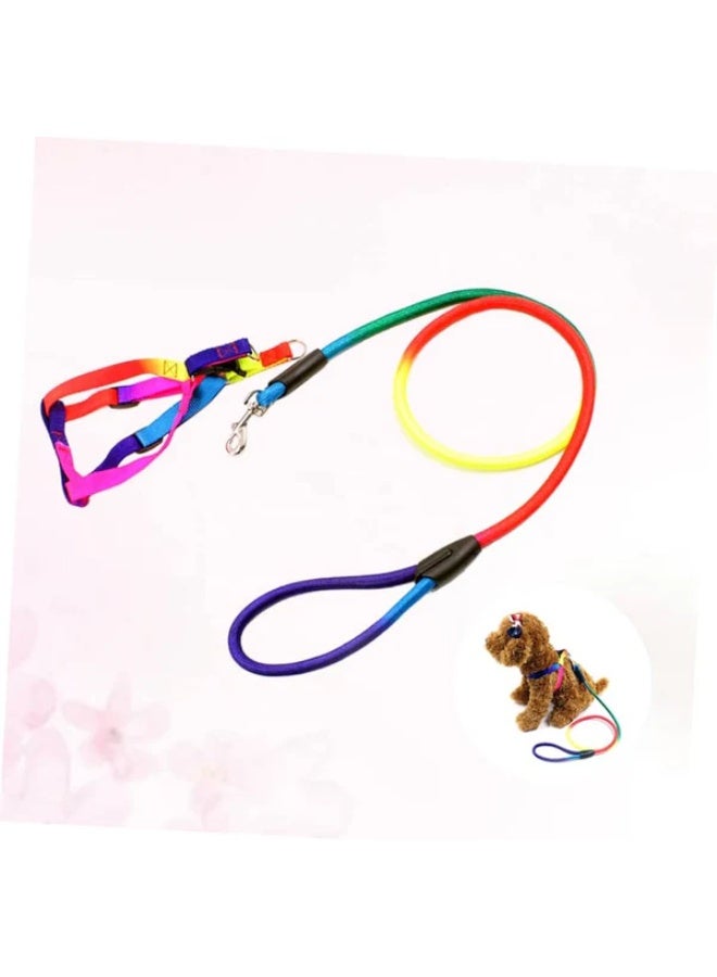 Pet Harness and Leash – Small