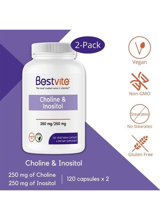 BESTVITE Choline Inositol 500mg (240 Vegetarian Capsules) (120 x 2) - No Stearates - No Dicalcium Phosphate - No Fillers - Vegan - Non GMO - Gluten Free  - Image 3