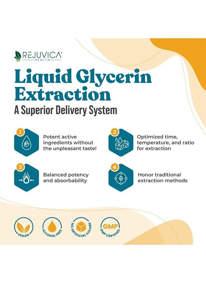 Rejuvica Health Bright Lungs - Advanced Lung Support Supplement - Liquid Delivery to Support Cleansing, Detox & Absorption - Grindelia, Lobelia, Licorice, Wild Cherry & More!  - Image 2