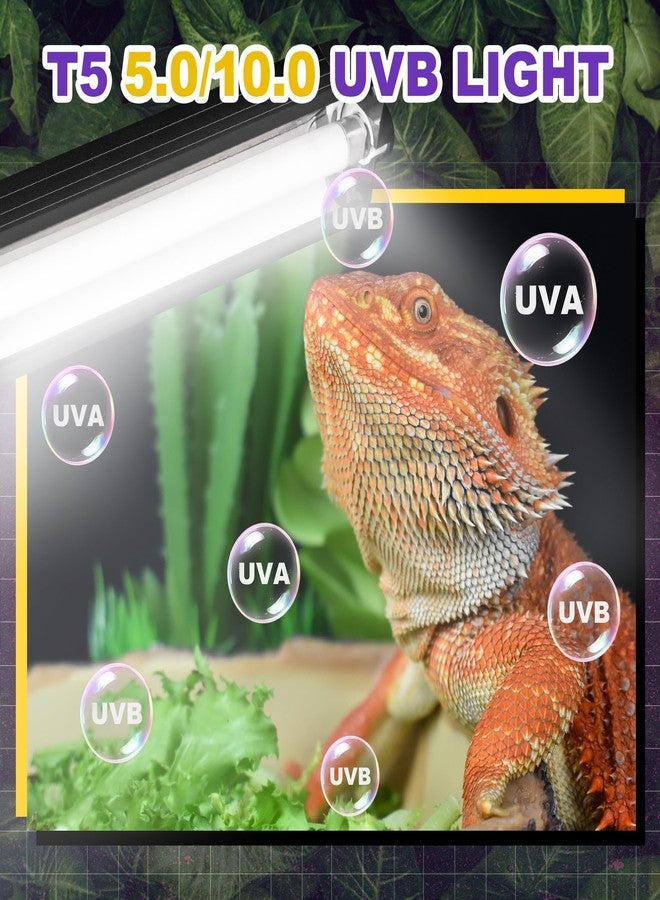 Reptispa T5 HO UVB Lighting Combo Kit, 8W Reptile Light Fixture with Fluorescent Light Bulbs, Tropical 5.0 UVB Light for Reptiles and Amphibians, Basking Light for Bearded Dragon, High Output Natural Light - Image 2