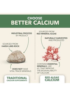 PlantFusion Vegan Calcium Premium Plant Based Calcium (1000Mg) Sourced From Icelandic Red Algae Plus Magnesium D3 K2 And Boron 90 Vegan Tablets  - Image 3