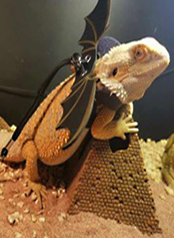 Abustle pig Adjustable Bearded Dragon Leash Harness,3 Size Pack Leather Wings Safty Walking Leash for Bearded Dragon Lizard Reptiles (Black) - Image 2