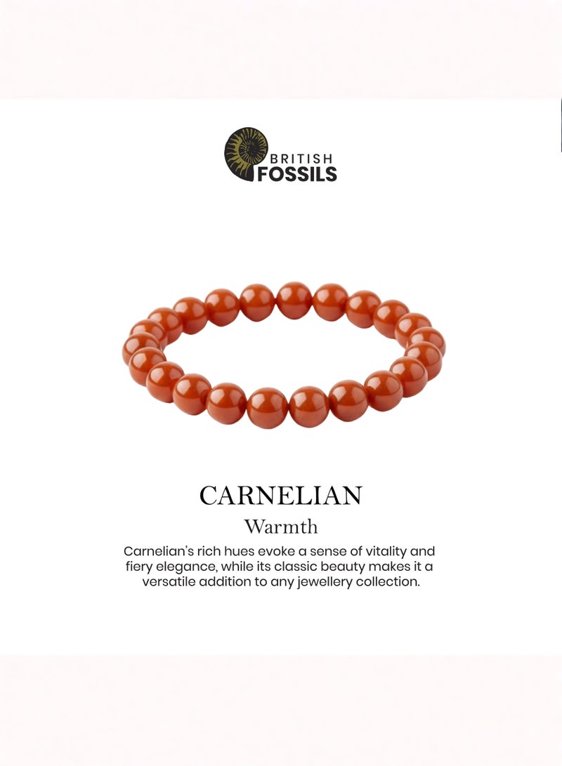 British Fossils Natures Gift Chip Bracelet Carnelian - Image 3