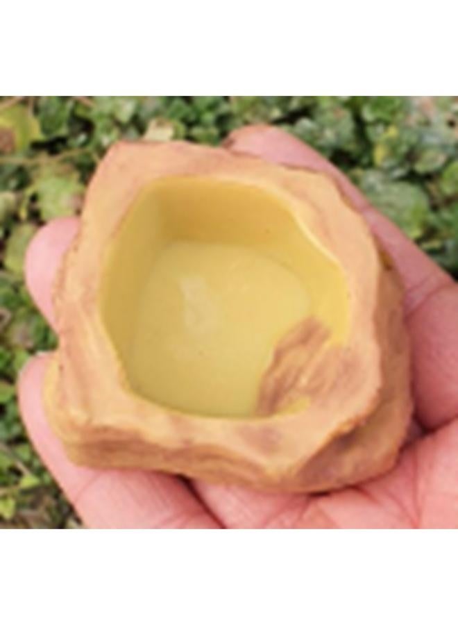 Reptile Water Bowl Terrarium Water Dish Food Feeding for Amphibian - Image 1