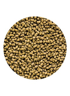 Hikari 042220 Carnivore Medium Sinking Pellets Marine Fish Food, One Size  - Image 4