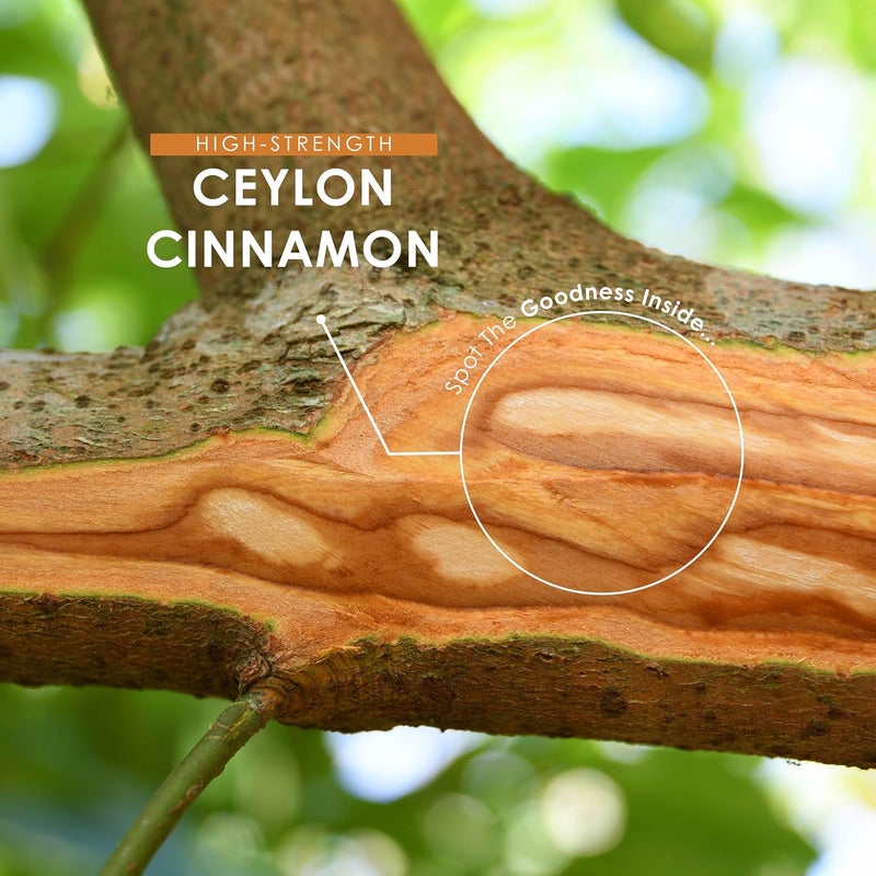 ALPHA01 Cinnamon Extract 6000mg - Standardised 15% Polyphenols from 43:1 Cinnamon Extract - 180 Vegan Tablets (6 Months Supply) â€“ Resealable and Recyclable Pouch by Alpha01 - Image 4