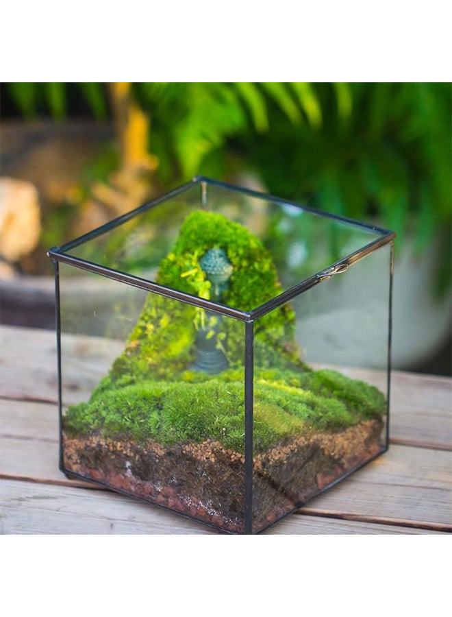 حوض زجاجي للتيراريون و البلوداريوم 15x15x16 - Image 3