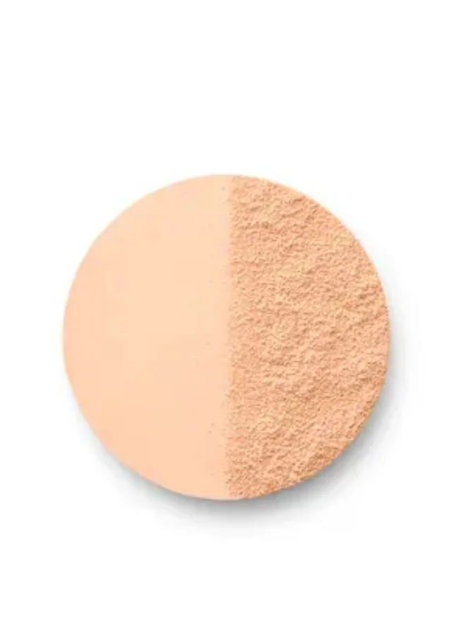 BOURJOIS PARIS Always Fabulous Powder Foundation - 100 - Rose Ivory, 7G