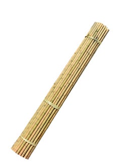 10pcs Plant Stakes Natural Garden Bamboo Stick - pzsku/ZF4CB913F53C16E1F7F7BZ/45/_/1652091271/2f0e4552-f70a-47b4-9f83-95a3c945fff0