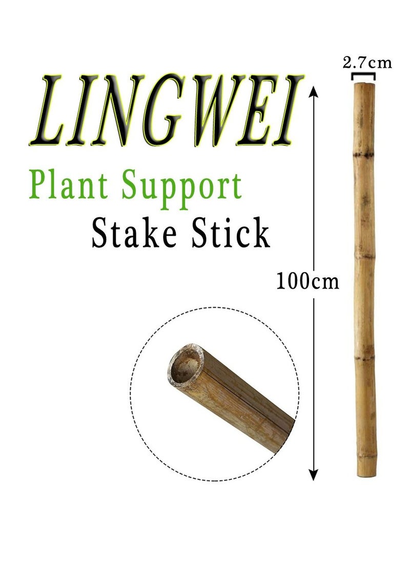 LINGWEI - 10pcs Plant Stakes Natural Garden Bamboo Stick - Image 1