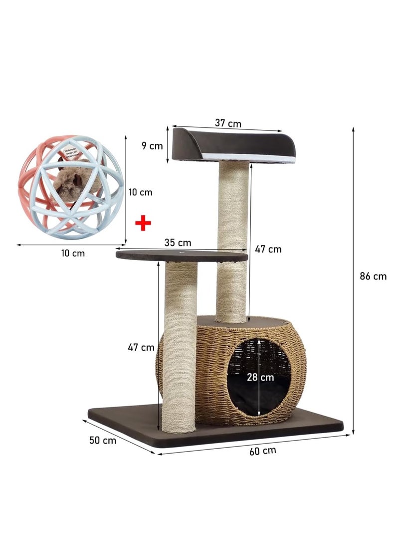 NNC PETS Multi-level cat tree activity center with Double perches, Sisal scratching post, and Durable rattan cat condo, Ideal for indoor cats, Easy to assemble 86 cm (Chocolate) - Image 2
