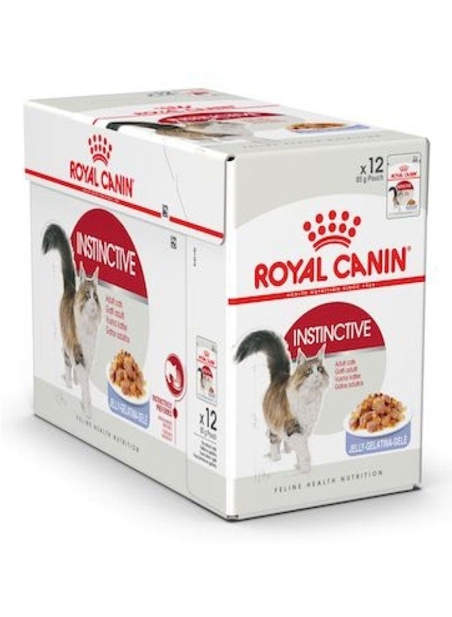 رويال كانين جيلي غريزي للتغذية الصحية للقطط البالغة أغذية رطبة أكياس - Image 2