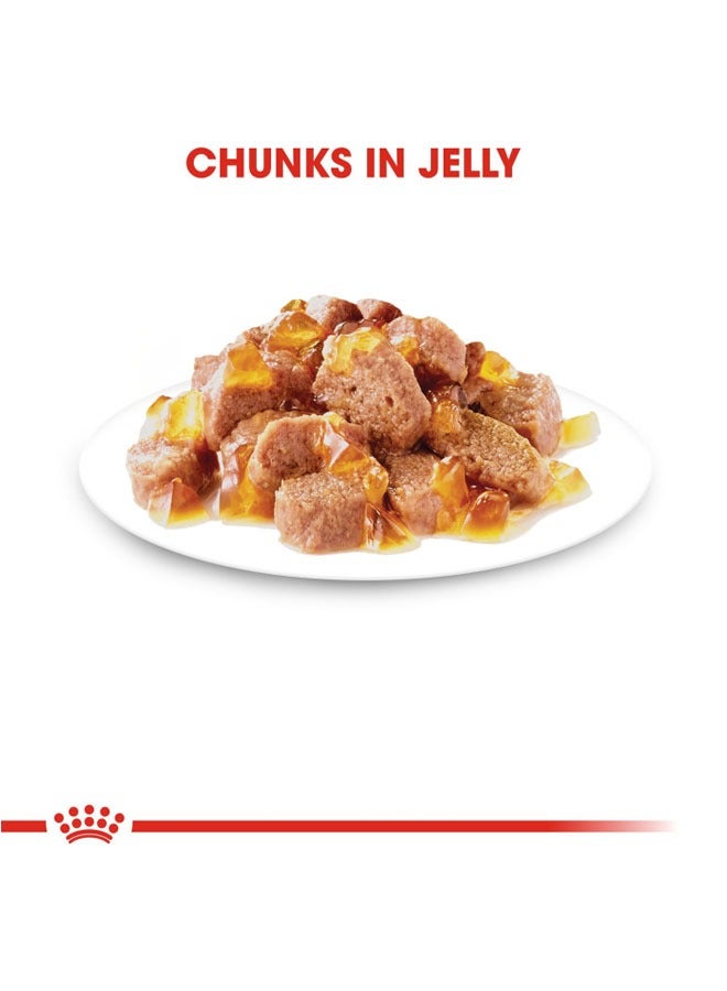 رويال كانين جيلي غريزي للتغذية الصحية للقطط البالغة أغذية رطبة أكياس - Image 3