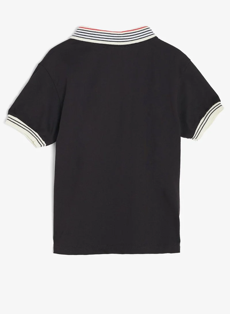 Pinata  Cotton Polo Tshirt and Shorts Set for Men | Best Price UAE