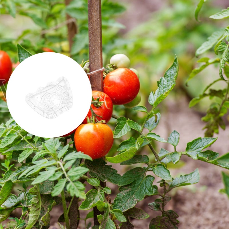 2Pcs Shaping Ingot Shaped Fruit Vegetable - Image 5