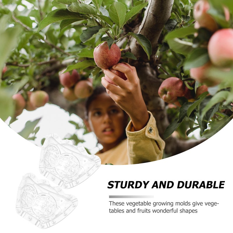 2Pcs Shaping Ingot Shaped Fruit Vegetable - Image 3