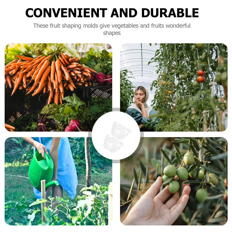 2Pcs Shaping Ingot Shaped Fruit Vegetable - Image 4