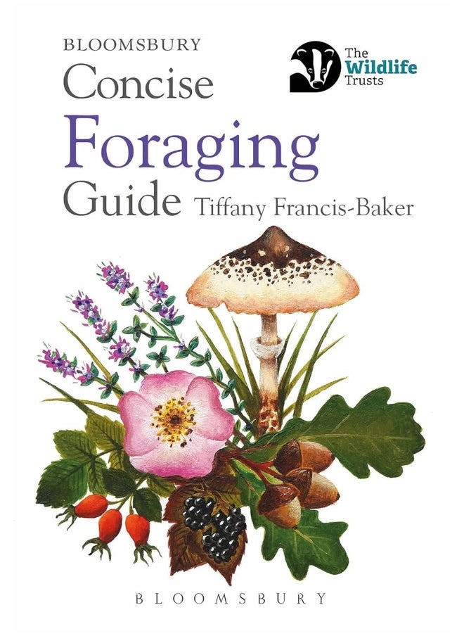 null - Concise Foraging Guide - Image 1