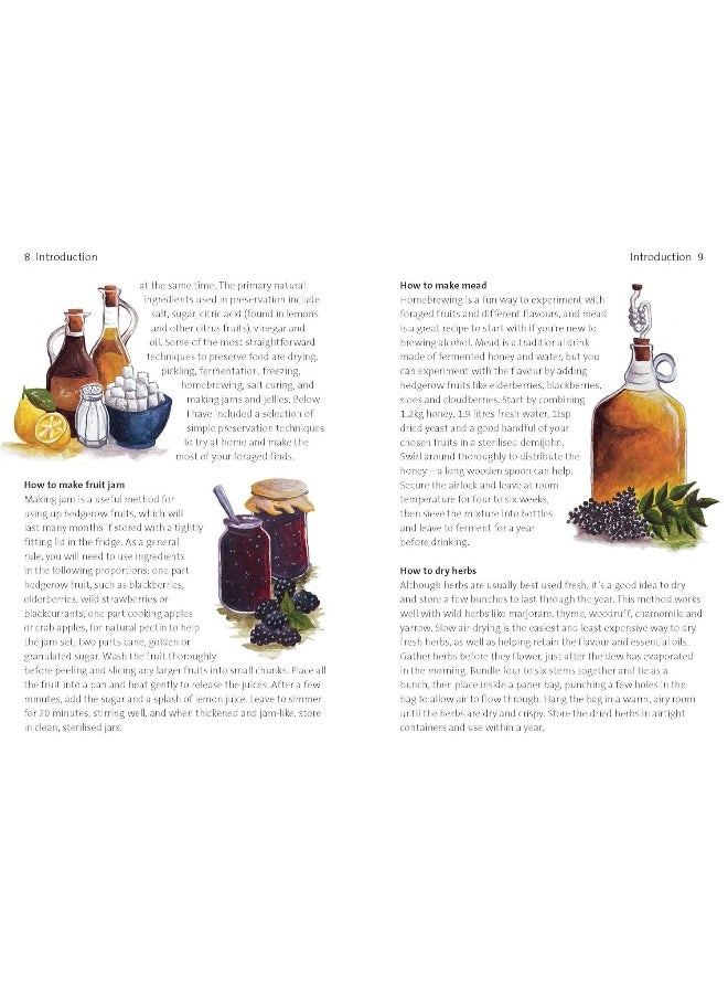 null - Concise Foraging Guide - Image 1