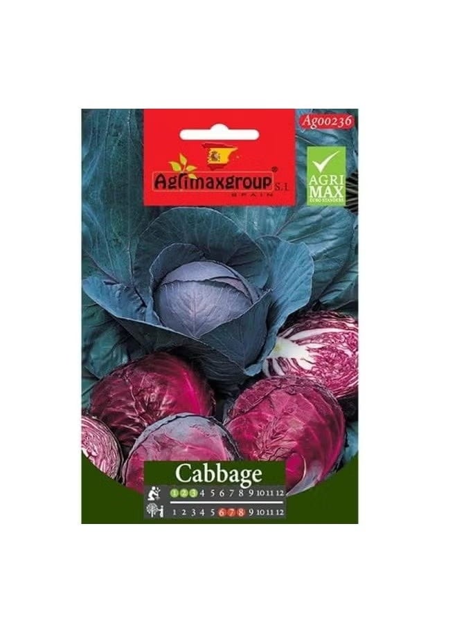 Agrimax Red Cabbage Premium Quality Seeds by Agrimaxgroup®