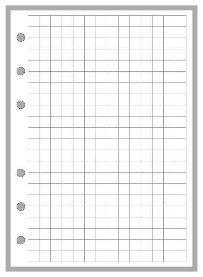 Handy Forms A6 Size 1/4" Graph Paper Planner Insert, for 6-Ring Binders (4.1" x 5.8"). This is A European Standard A6 Size. Your A6 May BE Different. Please See Images. - Image 1