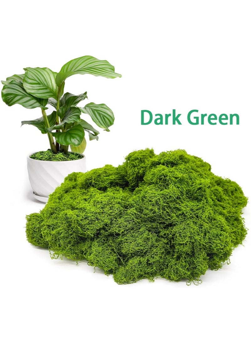 Aikanbo 100g Fake Green Moss for Indoor Pot Plants，Artificial Moss，Can be Used for Crafts，Fairy Garden Artificial Moss Decoration，DIY Decoration，Model Making，Wall，Glass Container，Home （Dark Green）  - Image 1